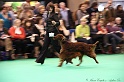 Crufts2011 860